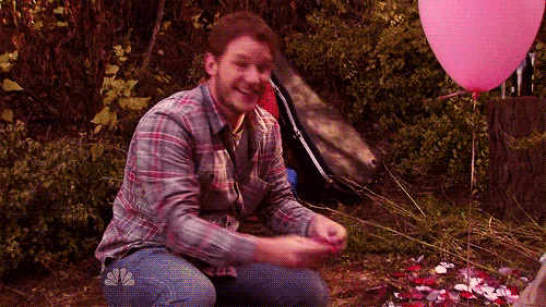 tsiteerib andy dwyer