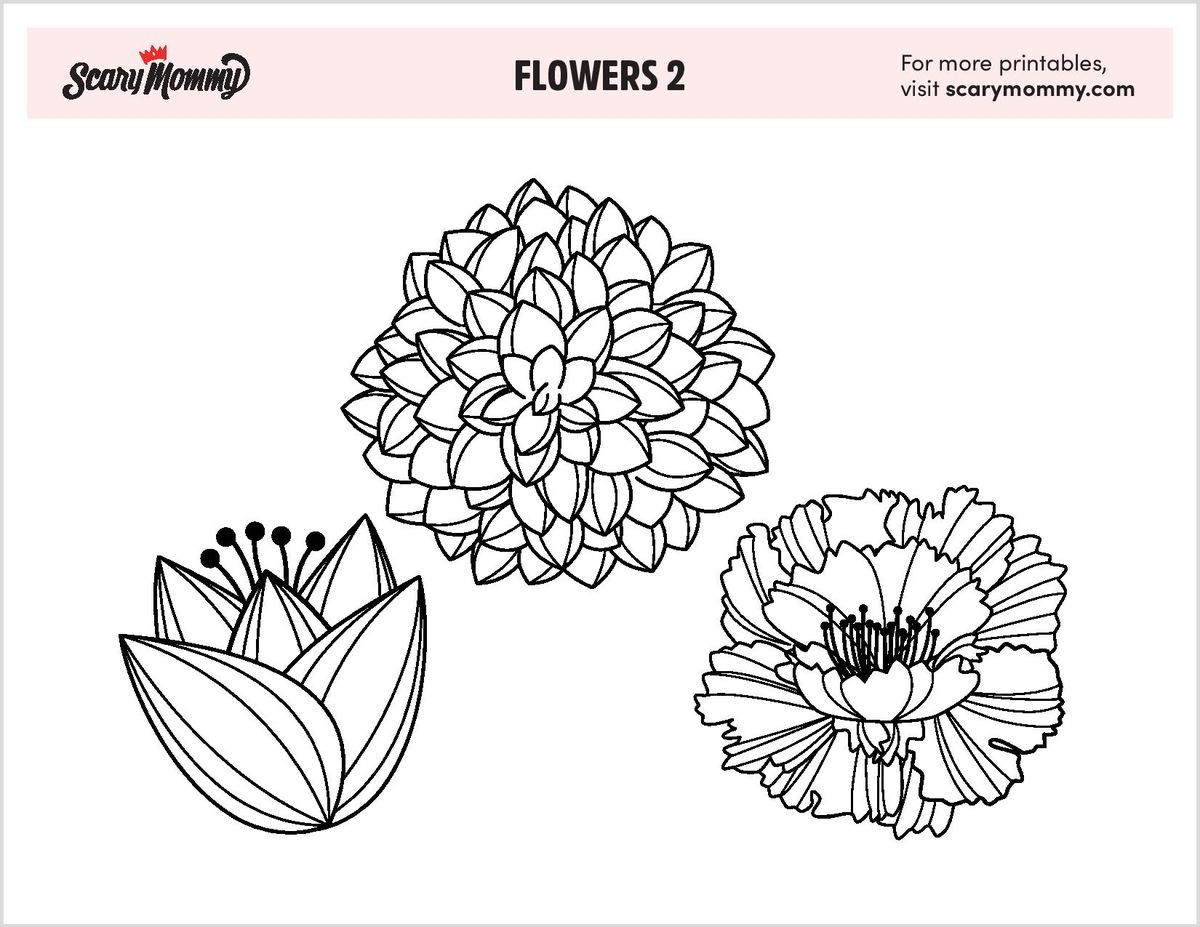 Dibuixos per pintar de flors: Assortiment de flors 2
